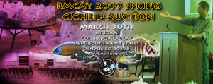 AuctionSPRING2019