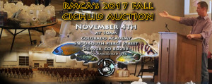 Fall_2017-Auction